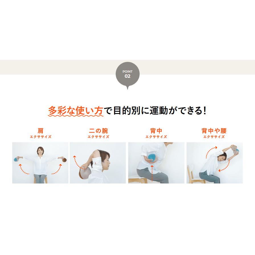 MIZUNO（ミズノ） ボルレッチ ダンベルボール 500g 2個セット