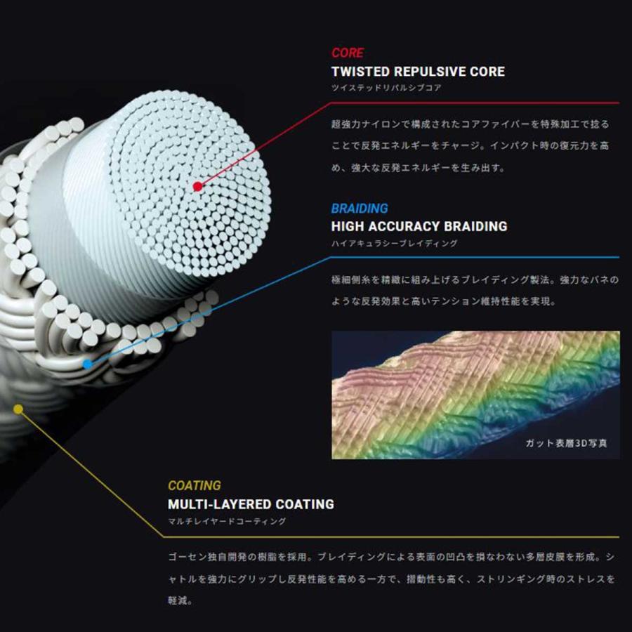 GOSEN（ゴーセン） ライゾニック62 RYZONIC62 BSRY62 バドミントン