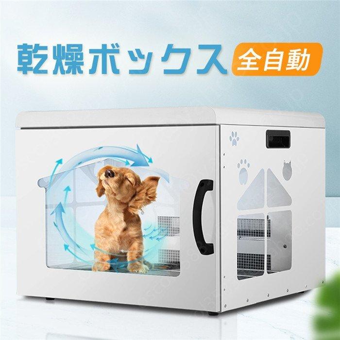 大割引 Ginger cat胡蝶 彩 イロドリ SUPER 胡蝶 彩(イロドリ)SUPER