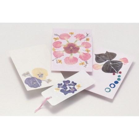 押し花セット 品番 2218 アヤハディオネットショッピング 通販 Yahoo ショッピング