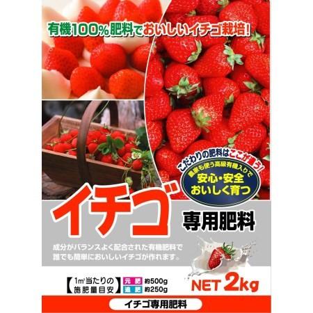 イチゴ専用肥料 2kg アヤハディオネットショッピング 通販 Yahoo ショッピング