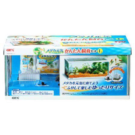 Gex メダカ元気 かんたん飼育セットl アヤハディオネットショッピング 通販 Yahoo ショッピング