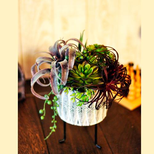 アーティフィシャルの多肉植物アレンジメント「Argile」