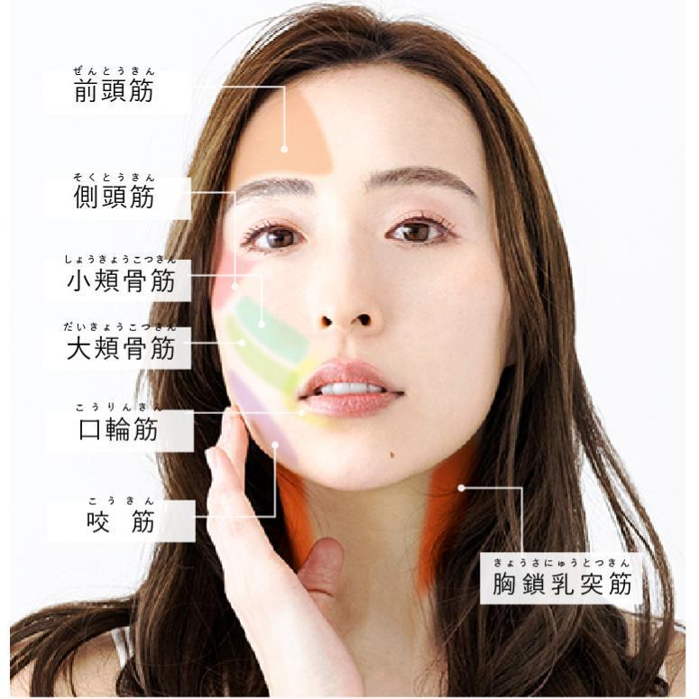 ヘッドスパ 頭皮マッサージ 全身美顔器 電動頭皮ブラシ 防水 ヘッドスパ 頭皮マッサージ 全身美顔器 電動頭皮ブラシ 防水