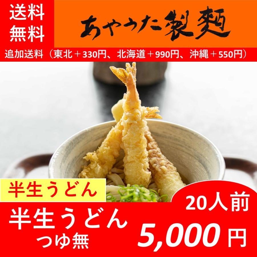 半生うどん20人前【つゆ無】【常温】【送料無料】 | 