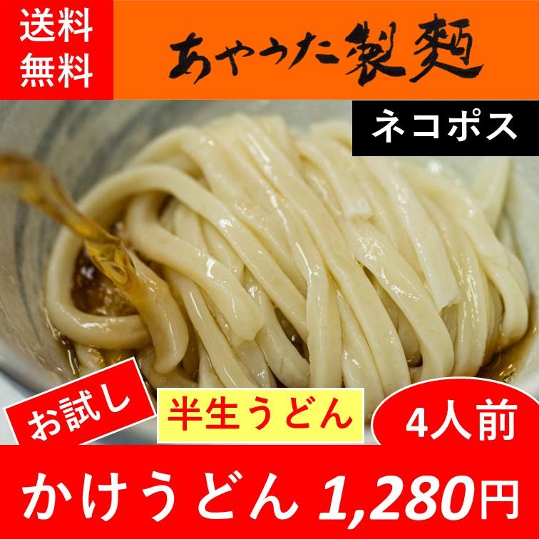 半生うどん・かけ4人前【お試し】【送料無料】 | 