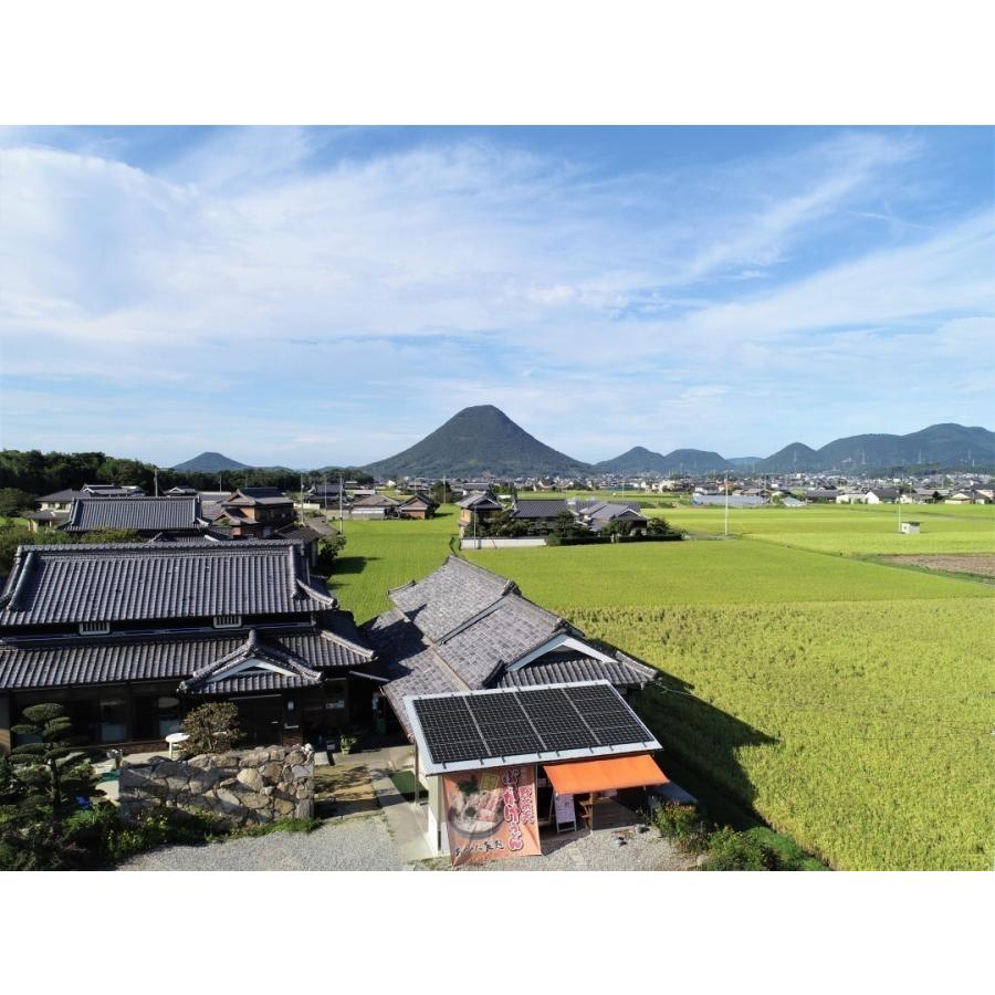 半生うどん・かけ4人前【お試し】【送料無料】 |  | 02