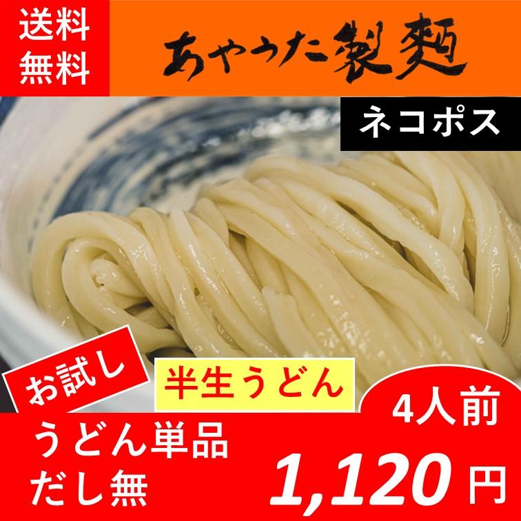 半生うどん4人前【つゆ無】【お試し】【送料無料】 | 