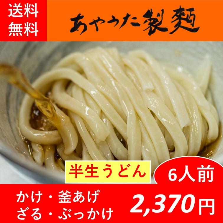 半生うどん6人前つゆ付　【常温】【送料無料】 | 