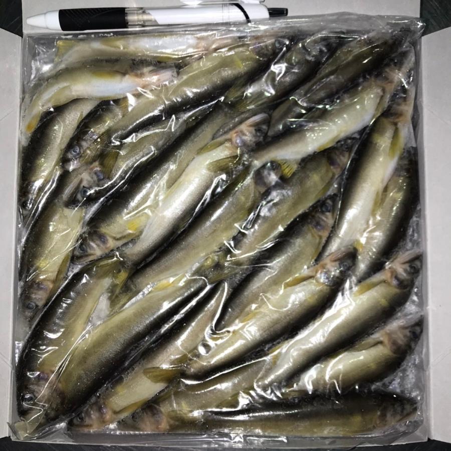 冷凍小鮎1ｋ 50 60尾入り 101 鮎通販専門店 鮎一 通販 Yahoo ショッピング