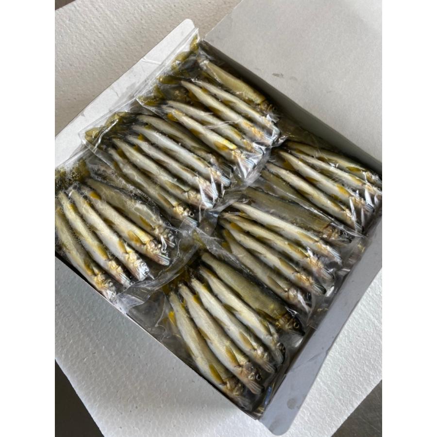 冷凍小鮎1k 100 5尾入り 袋入り 103 鮎通販専門店 鮎一 通販 Yahoo ショッピング