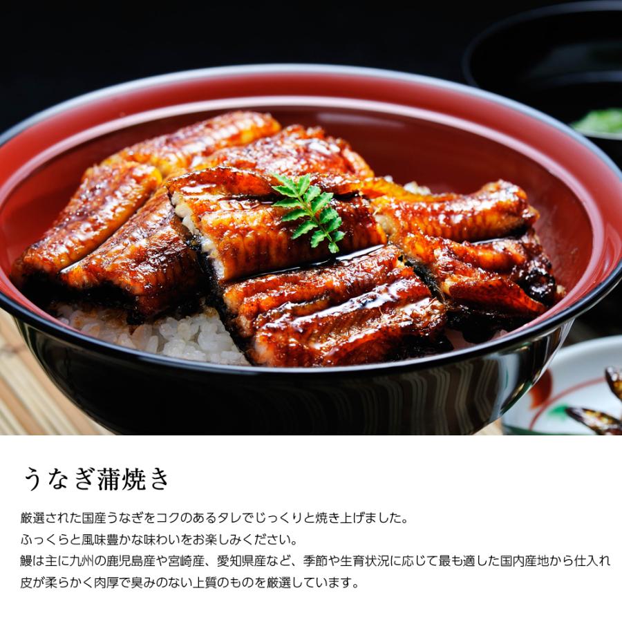 お歳暮 ギフト 国産 鰻 ギフト うなぎ 蒲焼き 135g以上 大サイズ1尾 [ あゆの店きむら / UNGKL ] ウナギ 蒲焼 土用の丑 |  | 03