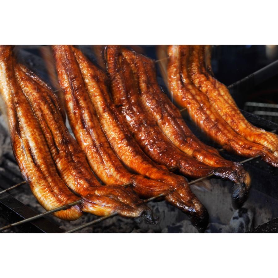 お歳暮 ギフト 国産 鰻 うなぎ ひつまぶし セット 2人前 箱入 [ あゆの店きむら / UNHM2H ] ウナギ 蒲焼 土用の丑 内祝 |  | 06