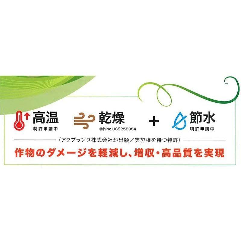 スキーポン・アグリ　Skeepon　Agri　農園　代不　酢酸　野菜　農業　5L　バイオスティミュラント資材　大興貿易　園芸