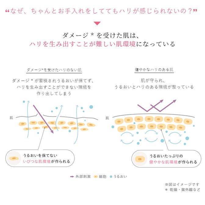 AYURA（アユーラ） 美容液 プランプコンセントレート 40mL ハリ 張り