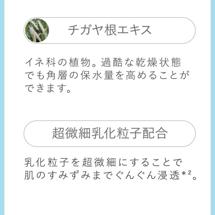 AYURA 化粧水 アユーラ リズムコンセントレートウォーター 300mL 乾燥 肌あれ うるおい 保湿 無添加 弱酸性｜ayura｜09