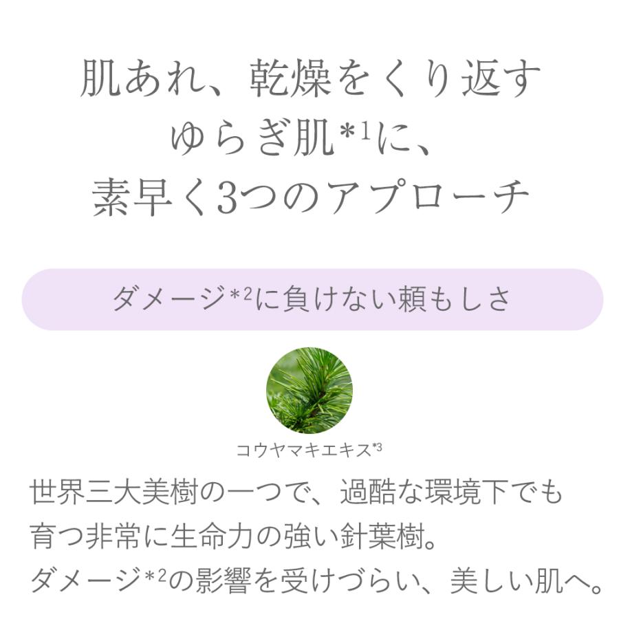 AYURA 美容液 アユーラ リズムコンセントレートα 40mL 肌あれ 乾燥 肌荒れ うるおい ゆらぎ肌 新美容液成分配合 コウヤマキエキス配合｜ayura｜08