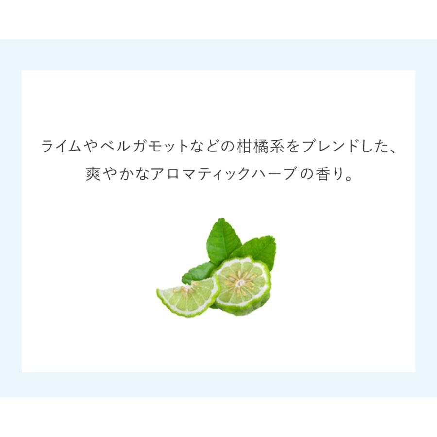 AYURA（アユーラ） メークオフミルクα クレンジングミルク メイク
