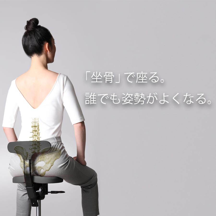 ayur chair オフィスチェア 腰痛 姿勢矯正 椅子 チェアー 学習 ayur chair オフィスチェア 腰痛 姿勢矯正 椅子 チェアー 学習
