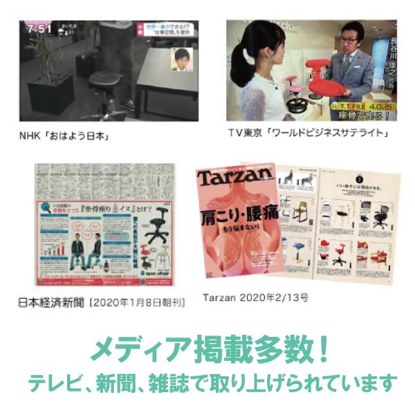 腰痛対策 姿勢矯正 集中力 学習 疲れない 姿勢が良くなる 腰が痛くならない 坐骨神経痛 骨盤矯正 骨盤サポート アーユルチェアー キャスタータイプ　オクトパス｜ayurchair｜05