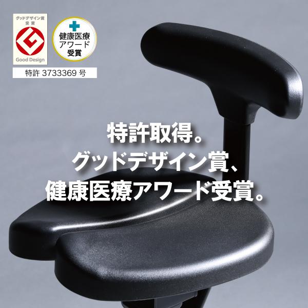 ayur chair オフィスチェア 腰痛 姿勢矯正 椅子 チェアー 学習 ayur chair オフィスチェア 腰痛 姿勢矯正 椅子 チェアー 学習