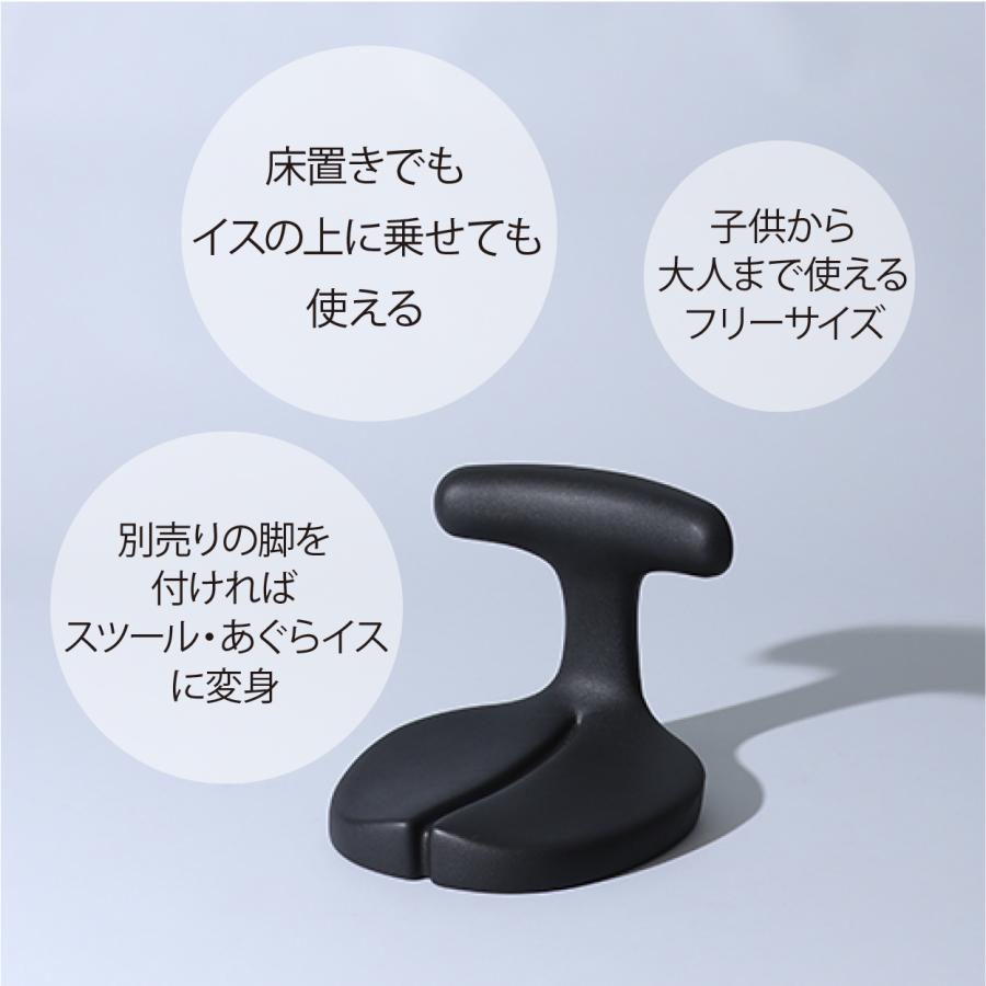 座椅子 1人掛け 腰痛 おしゃれ 姿勢 集中力 学習 コンパクト 骨盤 坐骨 腰痛クッション アーユルチェアー メディカルシート(座イス＆座面シートタイプ)_2