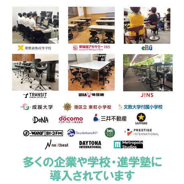 座椅子 1人掛け 腰痛 おしゃれ 姿勢 集中力 学習 コンパクト 骨盤 坐骨 腰痛クッション アーユルチェアー メディカルシート(座イス＆座面シートタイプ)_13