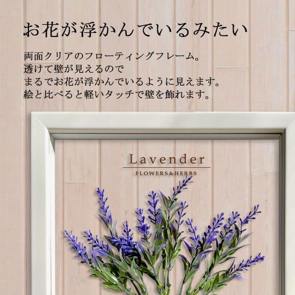 絵画 ボタニカルフレーム 3枚セット/フェイクグリーン インテリア アート アートパネル リビング ギフト 【国宝】