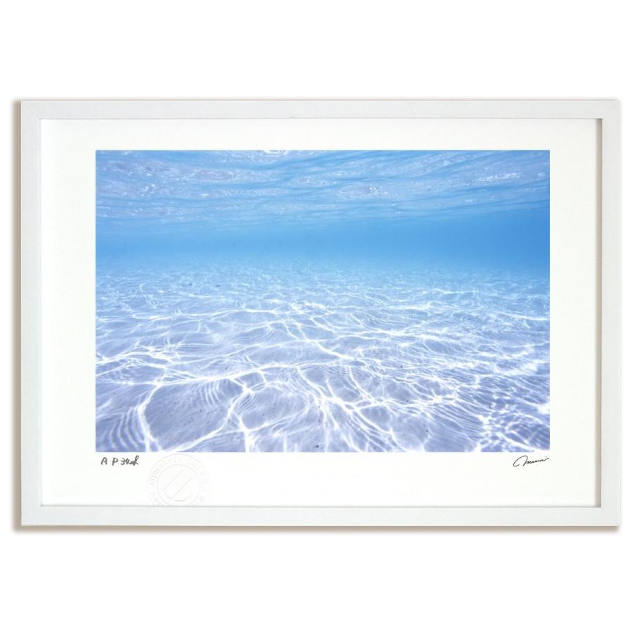 アートフォト 絵画 壁掛け ニューカレドニア 透明な海 海 額入り アートフォト 絵画 壁掛け ニューカレドニア 透明な海 海 額入り