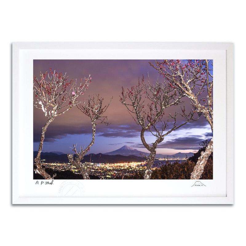 富士山 風景画 油絵 若石賛花 直筆サイン入り インテリア 木額縁入り 富士山 風景画 油絵 若石賛花 直筆サイン入り インテリア 木額縁入り