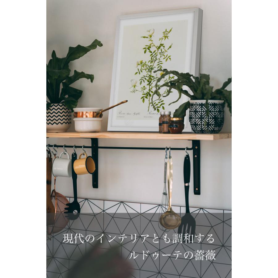版画 絵画ロサ・ゲミナータ ルドゥーテ インテリア 壁掛け 花 植物画
