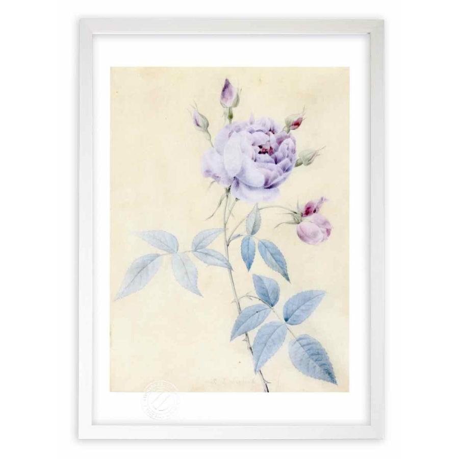 小澤清人リトグラフ猫 現代童画会 絵画アート ゴシック 現代アート 猫