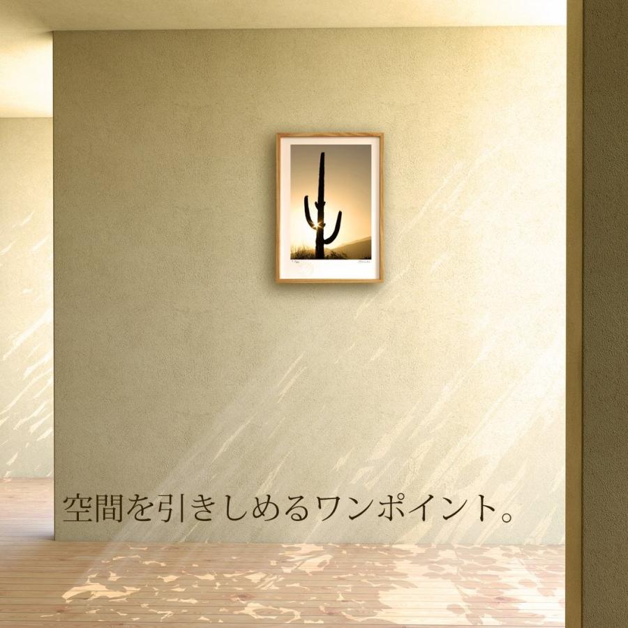 絵画 カクタスアート９ スミコ スコット 壁掛け 花 【タロットカード】 インテリア おしゃれ