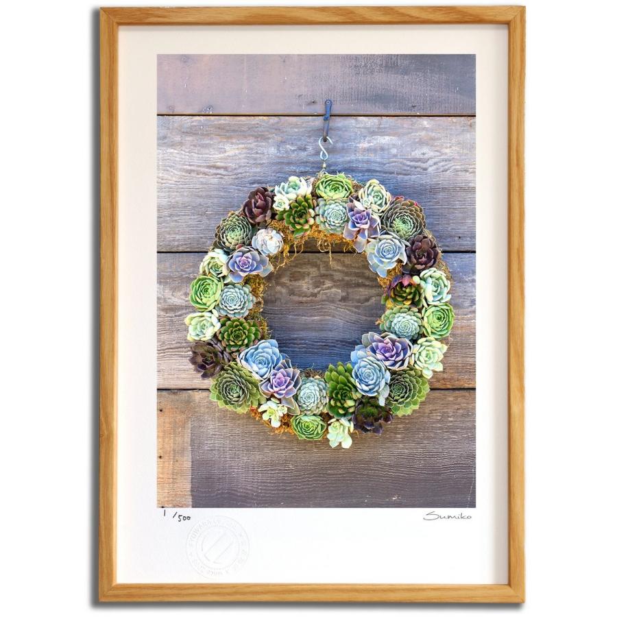 版画 絵画 サボテンリース スミコ スコット 壁掛け 花 インテリア おしゃれ Ay Ss0068 Nt 日本唯一の風景専門店 あゆわら 通販 Yahoo ショッピング