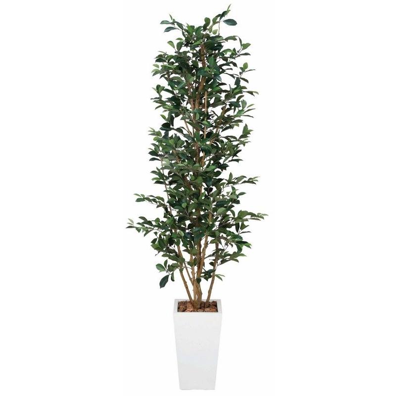 光触媒観葉植物 ガジュマルタワーG1.8 フロアタイプ(ハイサイズ 
