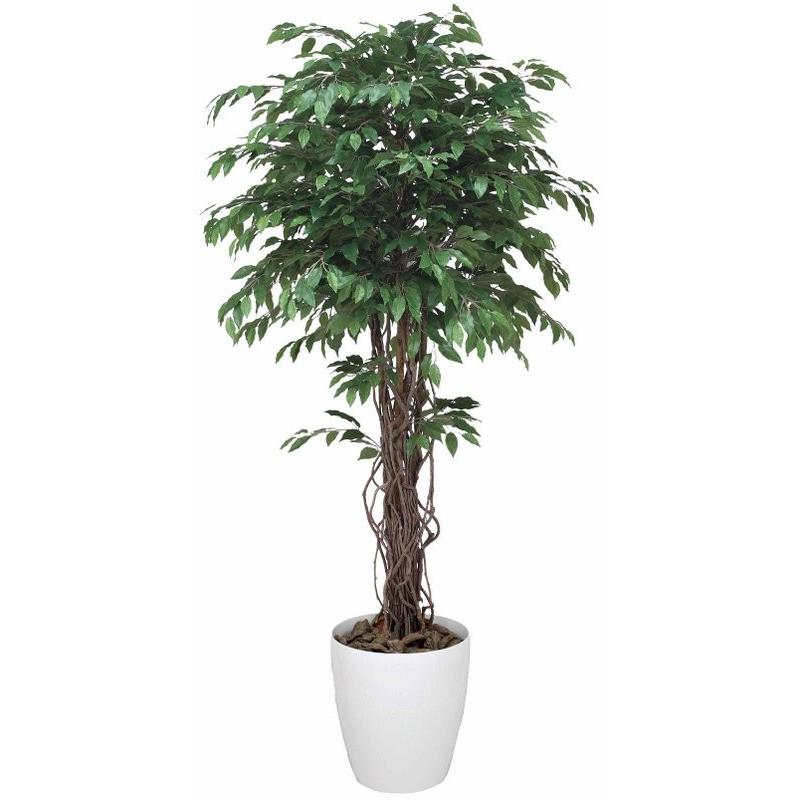 人気no 1 日本画 観葉植物 光触媒 フロアタイプ ハイサイズ ベンジャミンリアナ1 8 光触媒観葉植物 フェイクグリーン おしゃれ 造花 誕生祝い 開業祝い 開店祝い 花 21a W新作 送料無料 Hpnhaiti Com