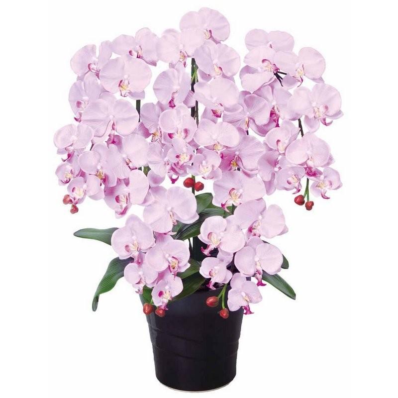 アートフラワー 造花 クイーン胡蝶蘭L 光触媒 フロアタイプ 観葉植物