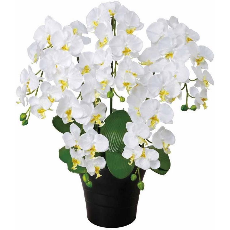 アートフラワー 造花 クイーン胡蝶蘭Ｗ 光触媒 フロアタイプ 光触媒 観葉植物 フェイクグリーン 花 開店祝い 開業祝い 誕生祝い 造花 おしゃれ