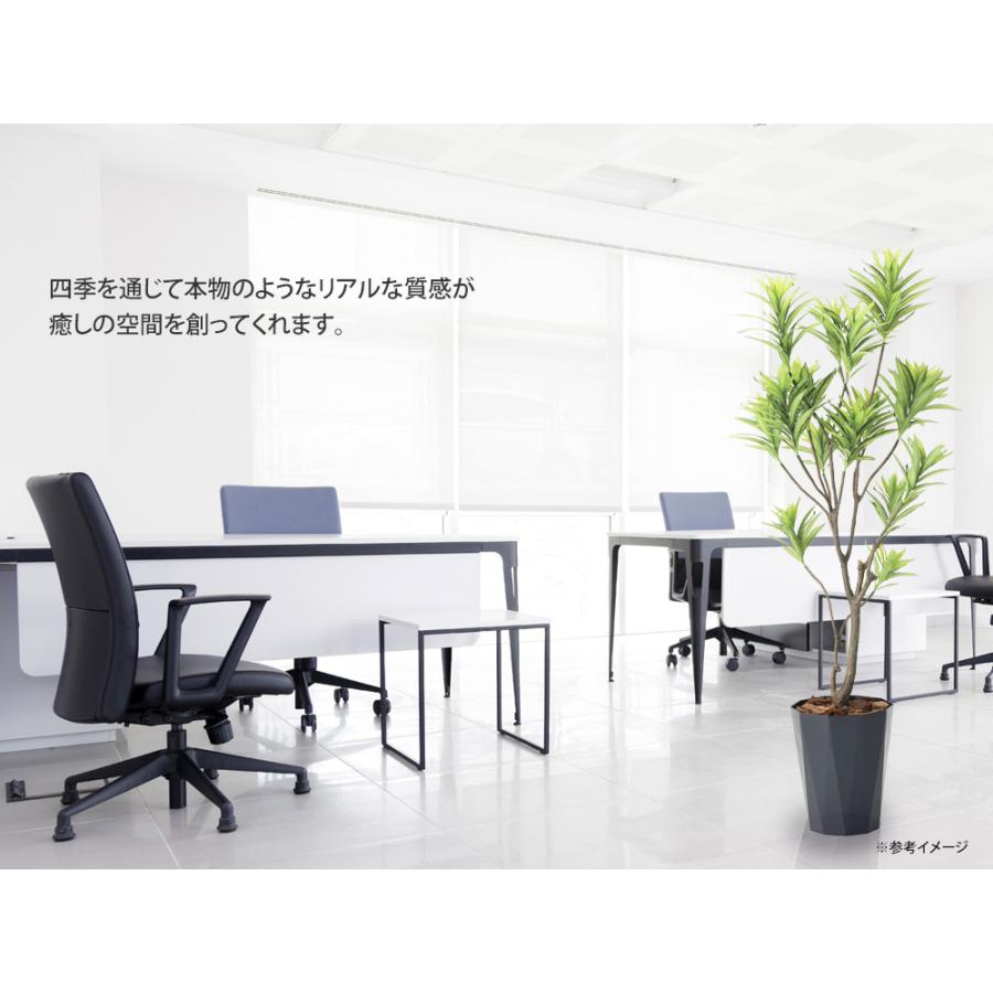 光触媒観葉植物 フレッシュドラセナ1.2 〔フロアタイプ〕 インテリア