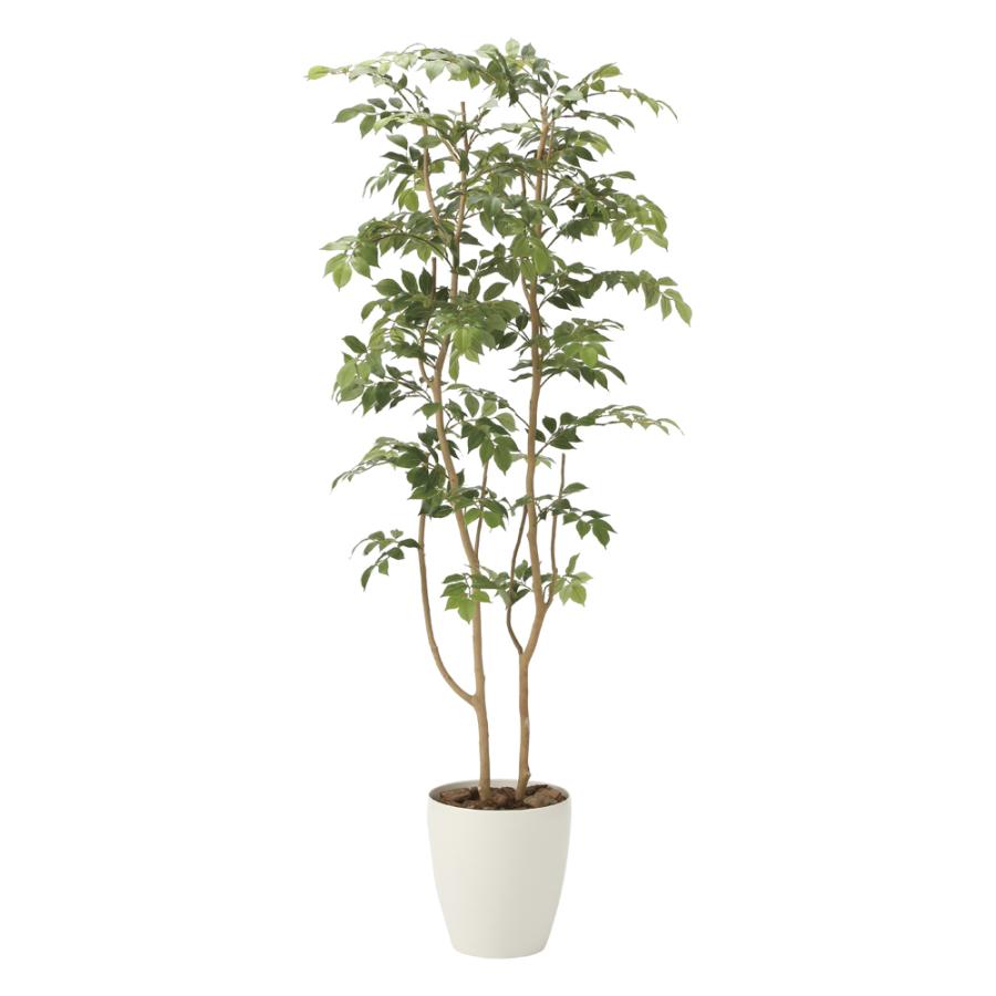 光触媒　人工観葉植物　フェイクグリーン　マウンテンアッシュ1.6m 光触媒観葉植物 マウンテンアッシュ1.6 〔フロアタイプ〕 インテリア