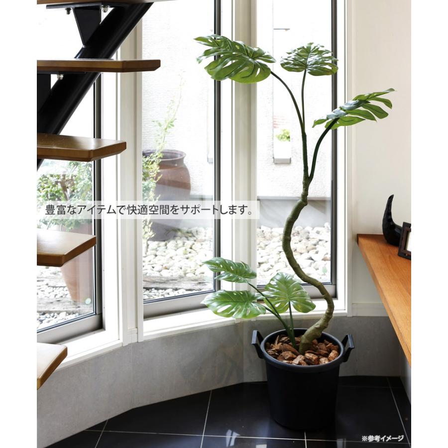 光触媒観葉植物 インテリアモンステラ1.7 〔フロアタイプ 光触媒観葉植物 インテリアモンステラ1.7 〔フロアタイプ