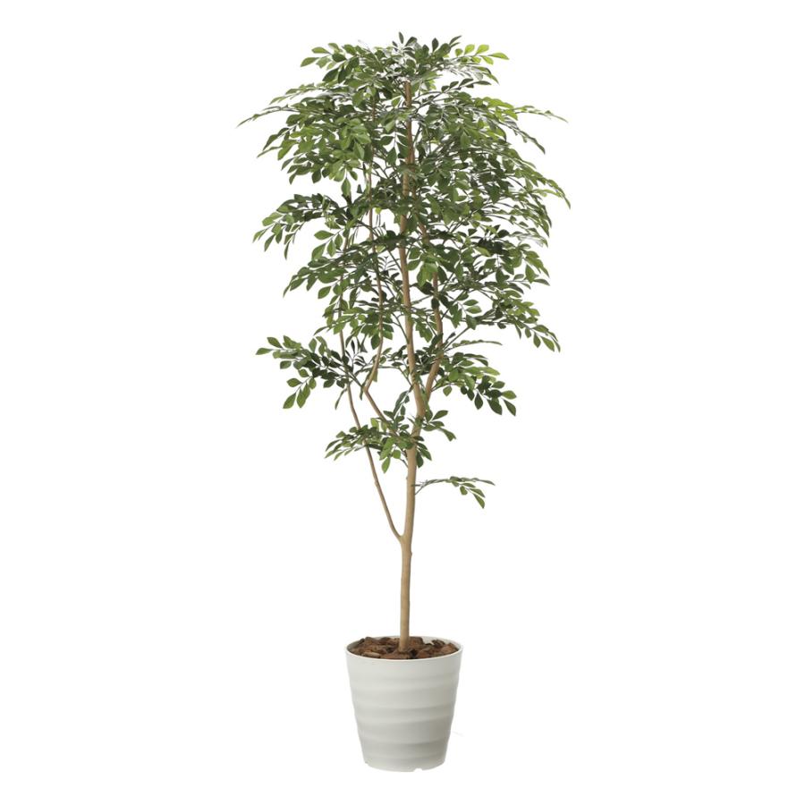 光触媒 人工観葉植物 ウォールグリーン フェイクグリーン ベンジャミン