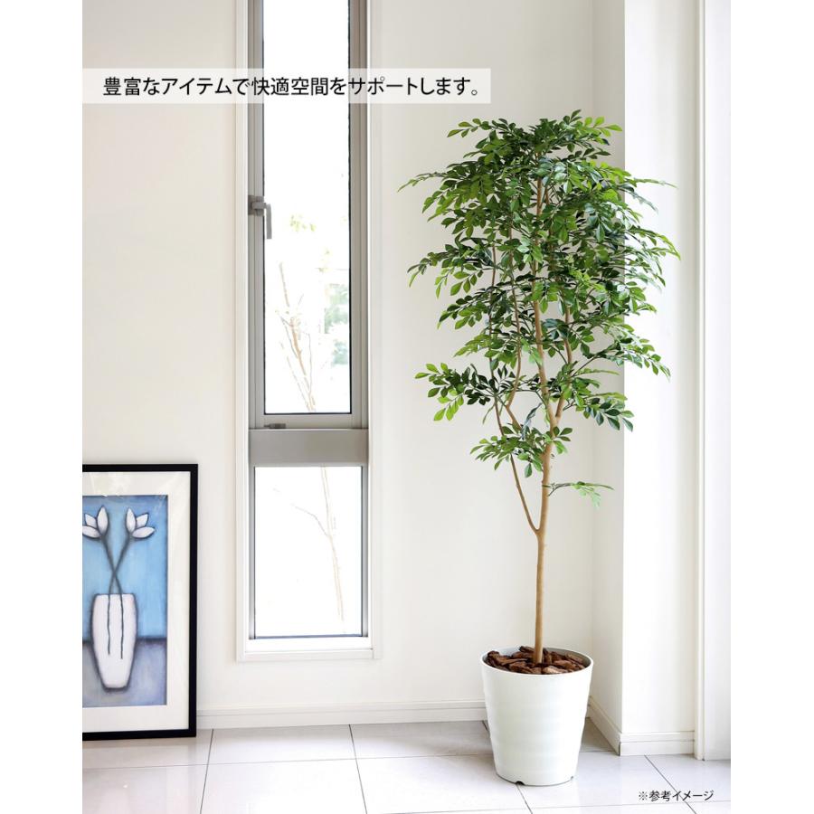 光触媒人工観葉植物ウォールグリーンフェイクグリーンスリムトネリコ1.8