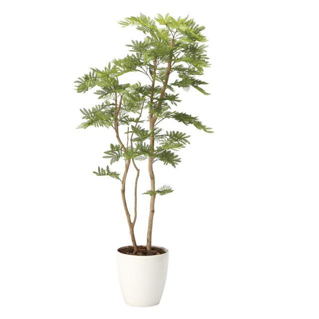 50 Off 光触媒観葉植物 ねむの木1 8 ポリ製 フロアタイプ インテリア フェイクグリーン おしゃれ アートグリーン 緑 リビング 鉢植え プレゼント ギフト Hr 2106a460 日本唯一の風景専門店 あゆわら 通販 Yahoo ショッピング 60 Off Jeannesauve Org