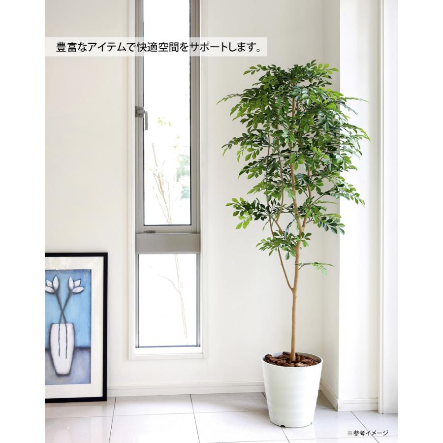 光触媒 観葉植物 人工観葉植物 黒竹 高さ35cm テーブルタイプ フェイク