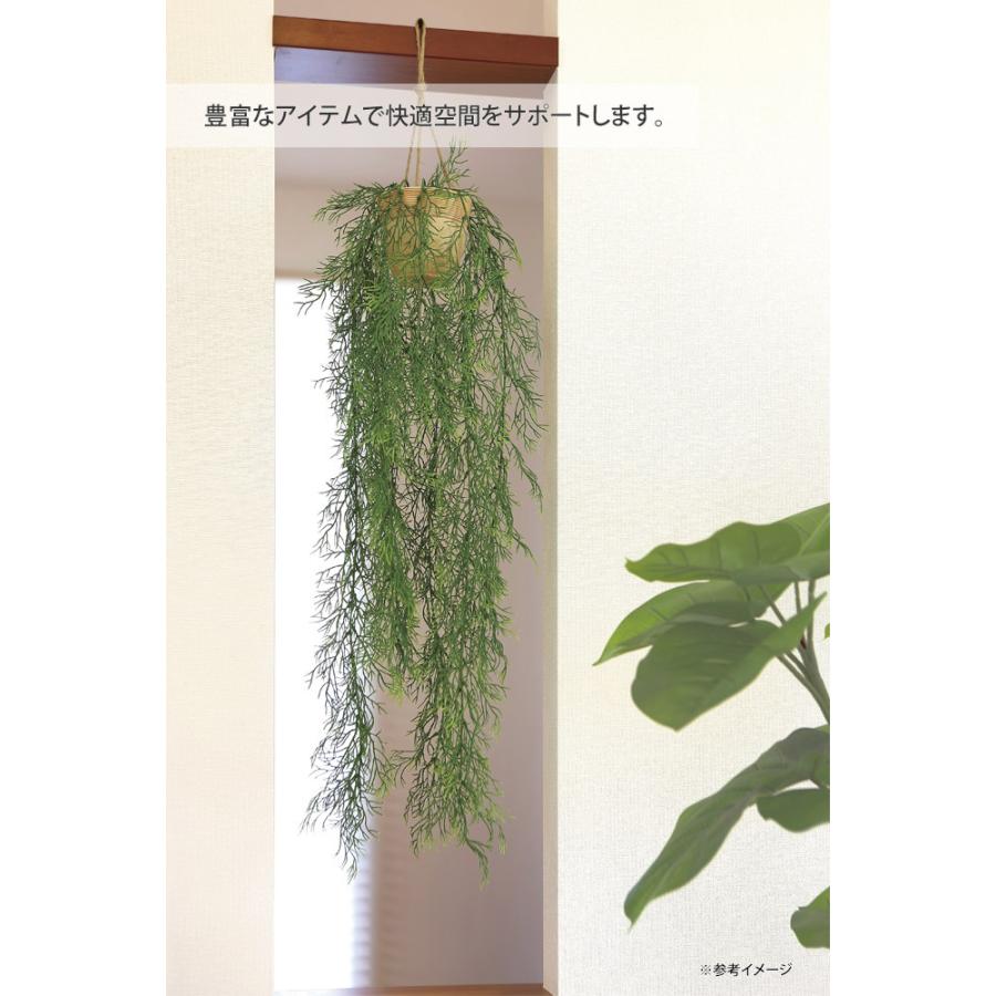 光触媒観葉植物 壁掛けツートンホヤ 〔壁掛けタイプ