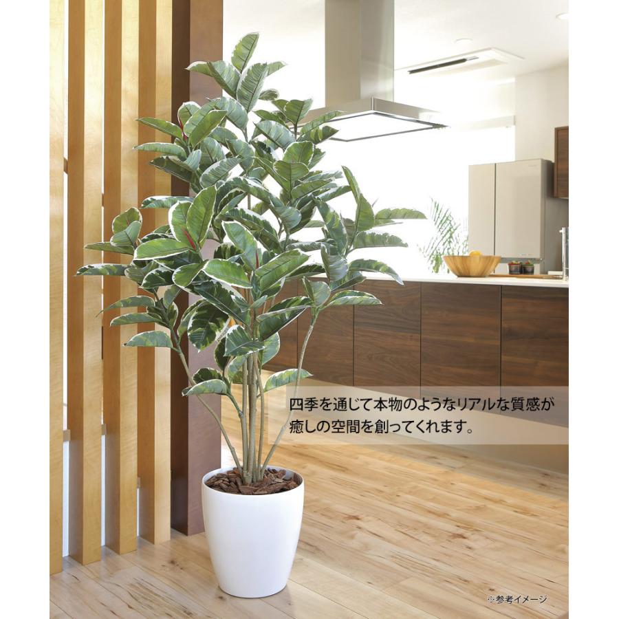 光触媒観葉植物 アルテシマ1.2 〔フロアタイプ〕 インテリア フェイク