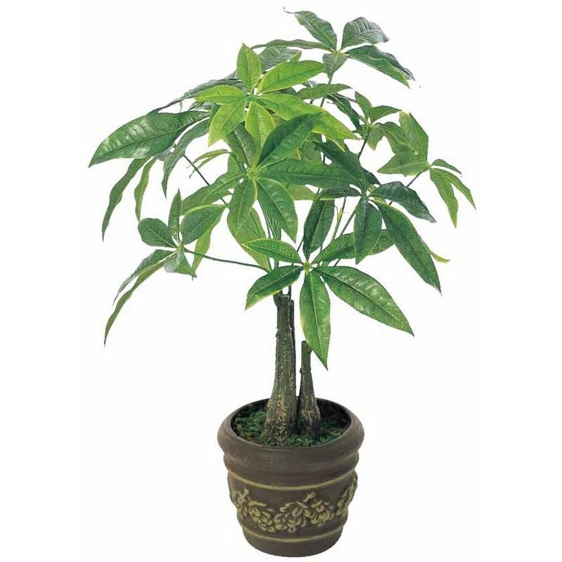 光触媒観葉植物 パキラポット テーブルタイプ 人気作品 光触媒 観葉植物 フェイクグリーン 花 開店祝い 開業祝い 誕生祝い 造花 おしゃれ Hr 252a35 日本唯一の風景専門店 あゆわら 通販 Yahoo ショッピング