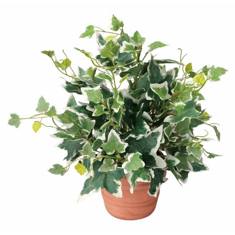 光触媒観葉植物 ホーランドアイビー テーブルタイプ 光触媒 観葉植物 フェイクグリーン 花 開店祝い 開業祝い 誕生祝い 造花 おしゃれ Hr 262a25 日本唯一の風景専門店 あゆわら 通販 Yahoo ショッピング