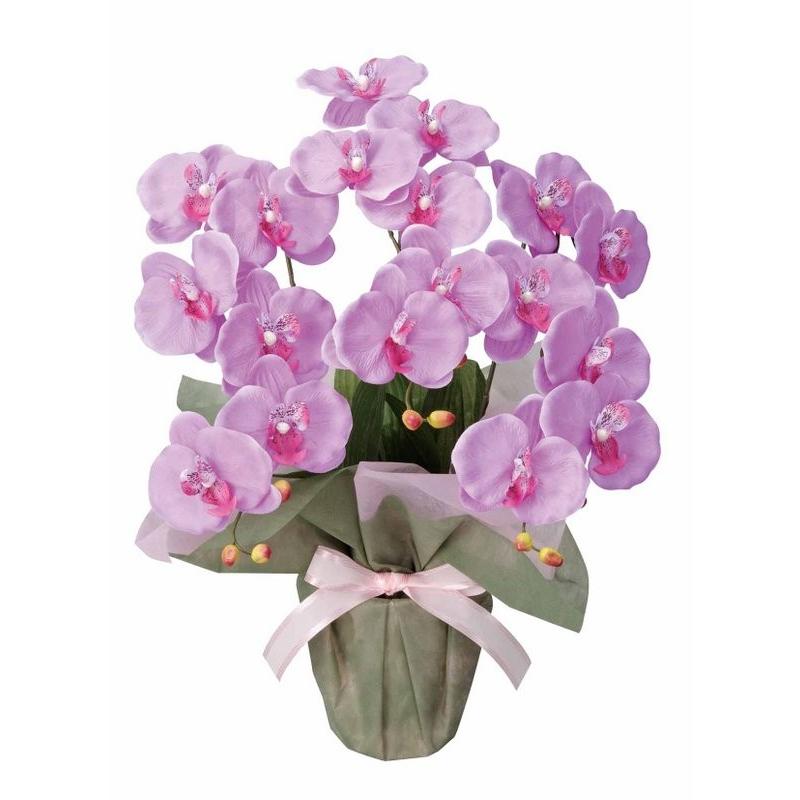 アートフラワー 造花 ミディ胡蝶蘭ｌ 光触媒 フロアタイプ ギフトで人気 光触媒 観葉植物 フェイクグリーン 花 開店祝い 開業祝い 誕生祝い 造花 おしゃれ Hr 26a35 日本唯一の風景専門店 あゆわら 通販 Yahoo ショッピング